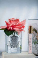 Load image into Gallery viewer, Cote Noire Single Rose - White Peach