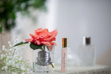 Load image into Gallery viewer, Cote Noire Single Rose - White Peach