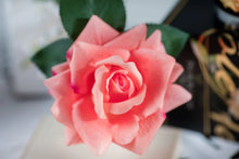Load image into Gallery viewer, Cote Noire Single Rose - White Peach