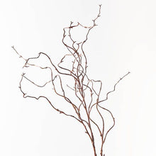 Load image into Gallery viewer, Twig Curly Willow Spray