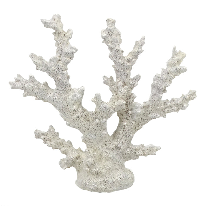 Chelsea Natural Coral