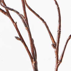 Twig Curly Willow Spray