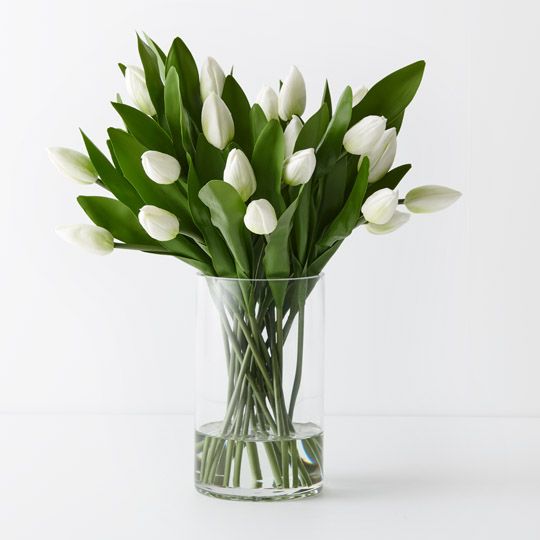 Tulip Mix in Vase Arrangement